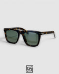 DB7000 Sunglasses - TIGER-OIL