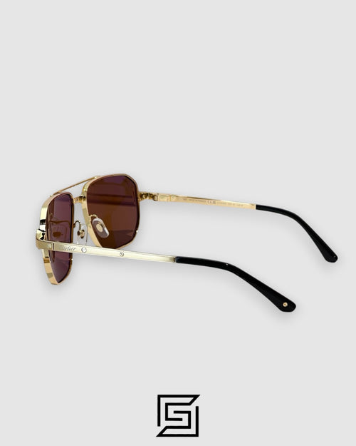 CT0424S - 003 إطار ذهبي عدسات بنية